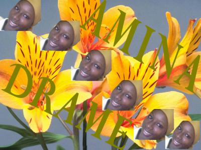 amina drame
