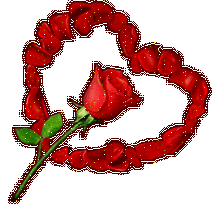belle rose no!